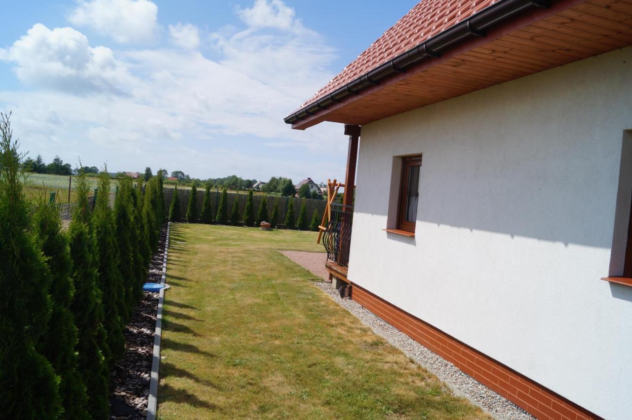 Lodge Alex I Maciek Pleśna