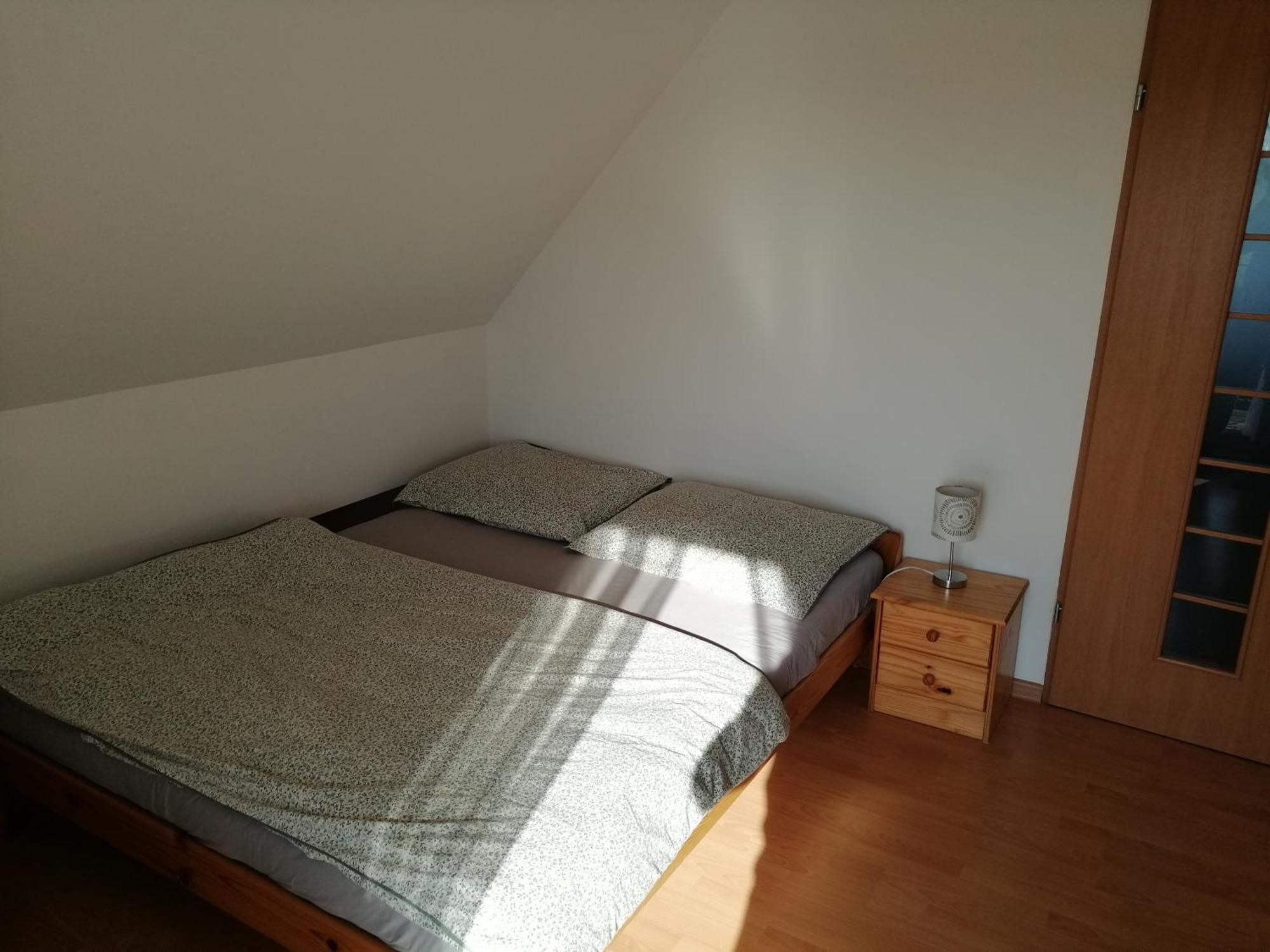 Lodge Alex I Maciek